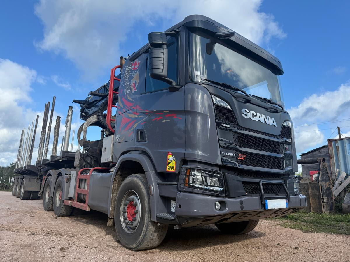 Scania R 650 A6x4HA V8 GRUE PALFINGER EPSILON S300L98 HPLS - Gjysmë-kamion: foto 2 Scania R 650 A6x4HA V8 GRUE PALFINGER EPSILON S300L98 HPLS - Gjysmë-kamion: foto 2