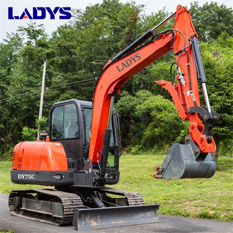 LADYS DY75C Small Excavator Euro 5/Epa Yanmar Engine Small Excavator Crawler Excavator For Sale - Ekskavator me zinxhirë: foto 4 LADYS DY75C Small Excavator Euro 5/Epa Yanmar Engine Small Excavator Crawler Excavator For Sale - Ekskavator me zinxhirë: foto 4