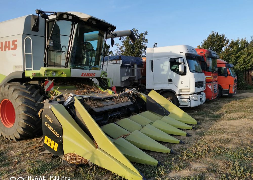 Oros Cornado 6 4+2R Nowa Przystawka do kukurydzy - Korrëse misri: foto 3 Oros Cornado 6 4+2R Nowa Przystawka do kukurydzy - Korrëse misri: foto 3