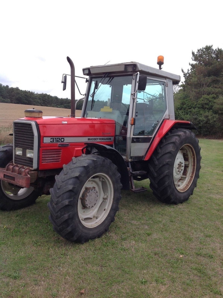 Massey Ferguson 3120 - Traktor: foto 1 Massey Ferguson 3120 - Traktor: foto 1