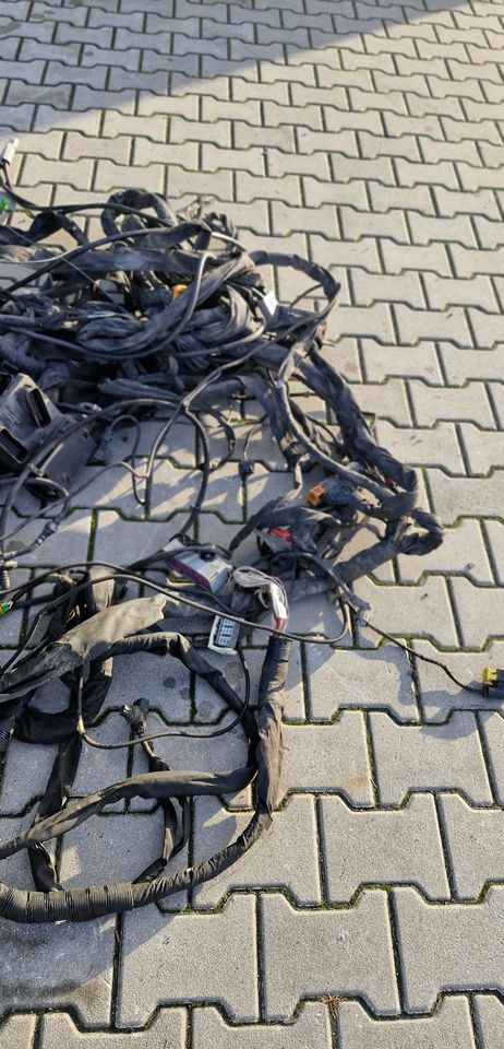 MAN TG3 TGX WIĄZKA ELEKTRYCZNA RAMY - Sistemi elektrik: foto 4 MAN TG3 TGX WIĄZKA ELEKTRYCZNA RAMY - Sistemi elektrik: foto 4