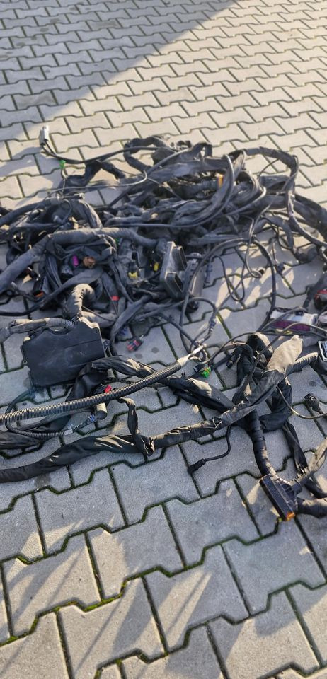 MAN TG3 TGX WIĄZKA ELEKTRYCZNA RAMY - Sistemi elektrik: foto 5 MAN TG3 TGX WIĄZKA ELEKTRYCZNA RAMY - Sistemi elektrik: foto 5