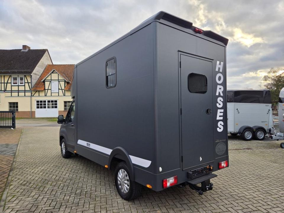 MSG Stablehopper Pferdetransporter Pferdeanhänger Böckmann - Kamion për kuaj: foto 4 MSG Stablehopper Pferdetransporter Pferdeanhänger Böckmann - Kamion për kuaj: foto 4