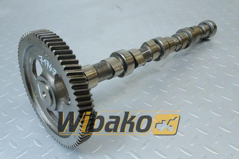 Camshaft for engine Case 6T-590 3914639 - Boshti me gunga për Makineri ndërtimi: foto 1 Camshaft for engine Case 6T-590 3914639 - Boshti me gunga për Makineri ndërtimi: foto 1