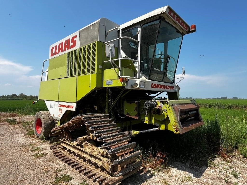 Claas COMMANDOR 116 CS RISO - Autokombajnë: foto 1 Claas COMMANDOR 116 CS RISO - Autokombajnë: foto 1