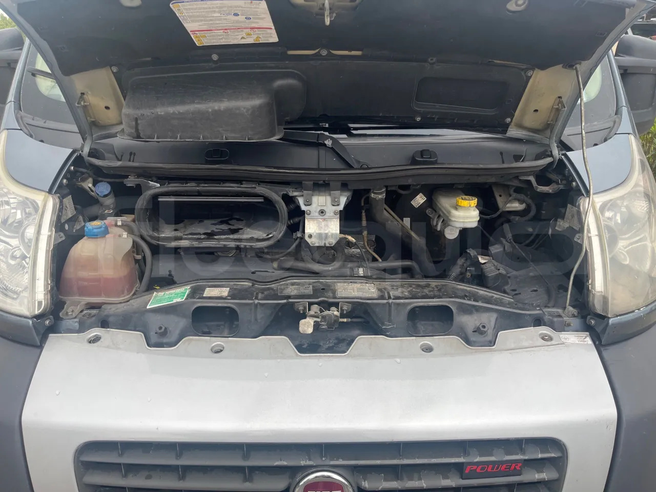 Autobus suburban Fiat Ducato: foto 17