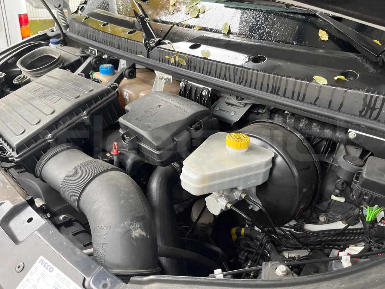 Autobus suburban Iveco Daily: foto 16 Autobus suburban Iveco Daily: foto 16