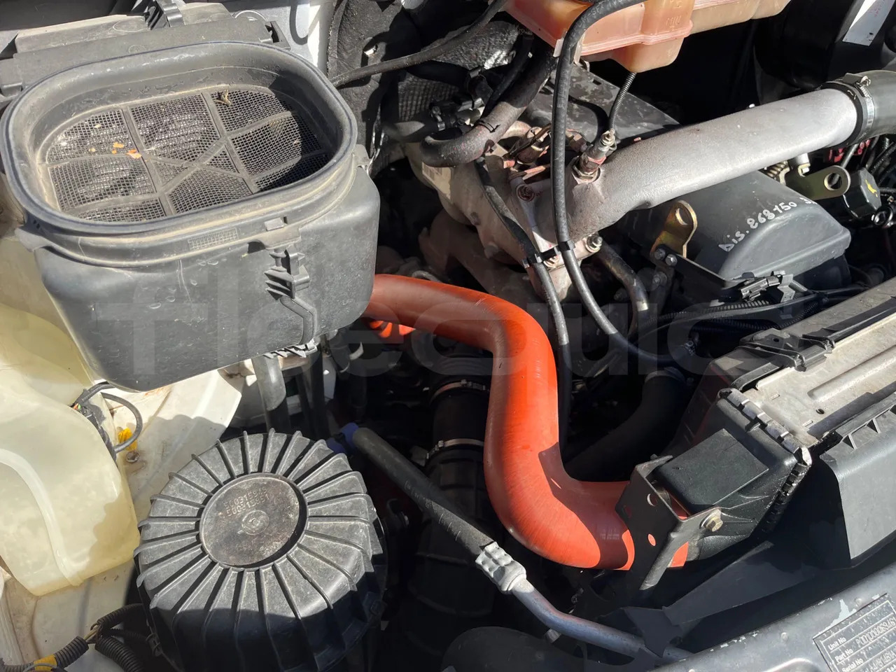 Autobus qyteti Iveco Daily: foto 19 Autobus qyteti Iveco Daily: foto 19