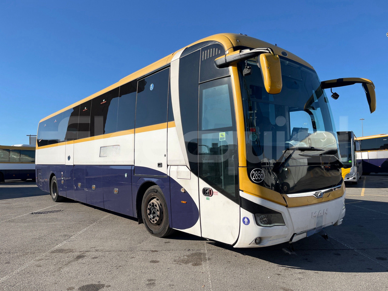 Man Lion's Coach - Autobus urban: foto 1 Man Lion's Coach - Autobus urban: foto 1