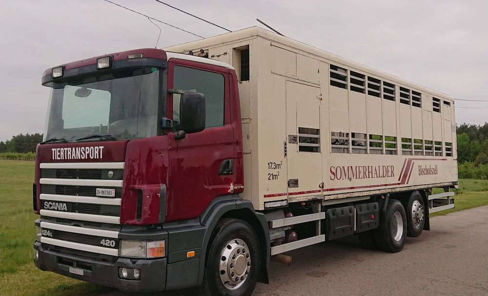 Scania 124 420 Do żywca - Kamion bagëtish: foto 1 Scania 124 420 Do żywca - Kamion bagëtish: foto 1