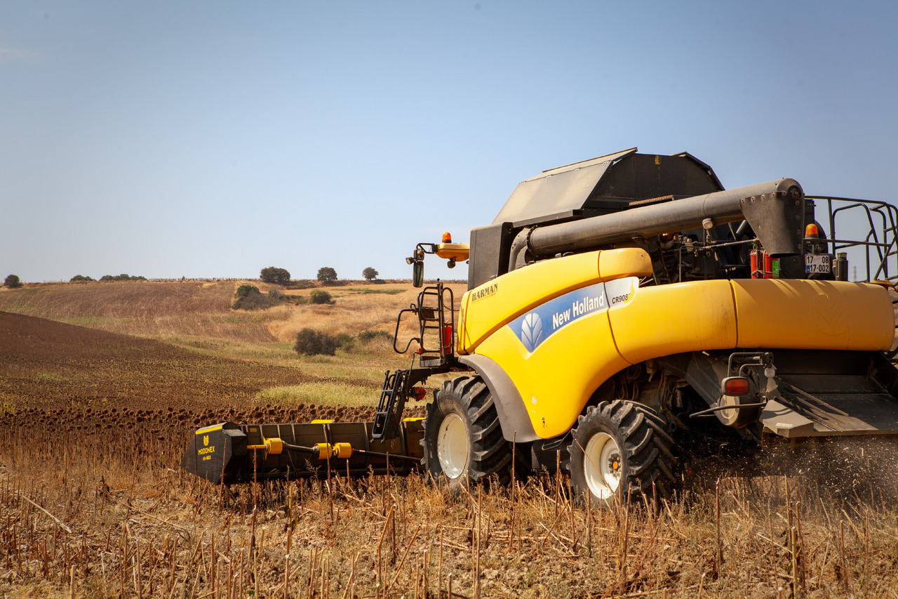 Modonex MX-630 - Korrëse luledielli: foto 3 Modonex MX-630 - Korrëse luledielli: foto 3