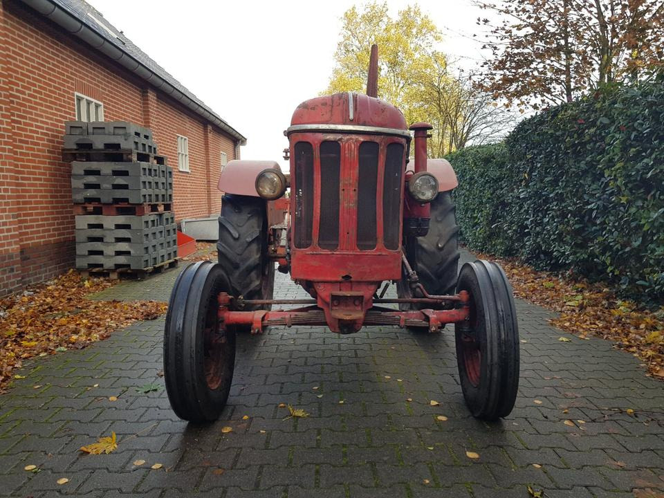 Oldtimer Hanomag R425 - Traktor: foto 5 Oldtimer Hanomag R425 - Traktor: foto 5