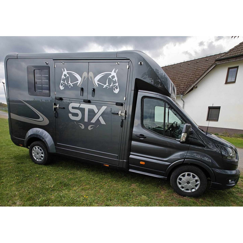 STX Ford Transit by Stephex - Kamion për kuaj: foto 3 STX Ford Transit by Stephex - Kamion për kuaj: foto 3