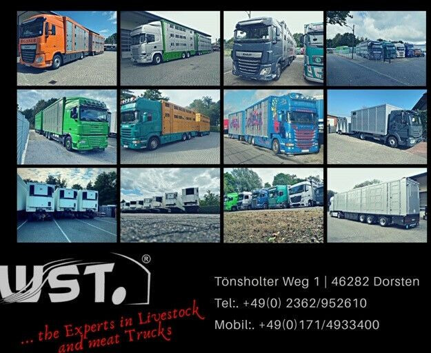 Kamion për kuaj DAF CF 400 Menke Einstock: foto 15