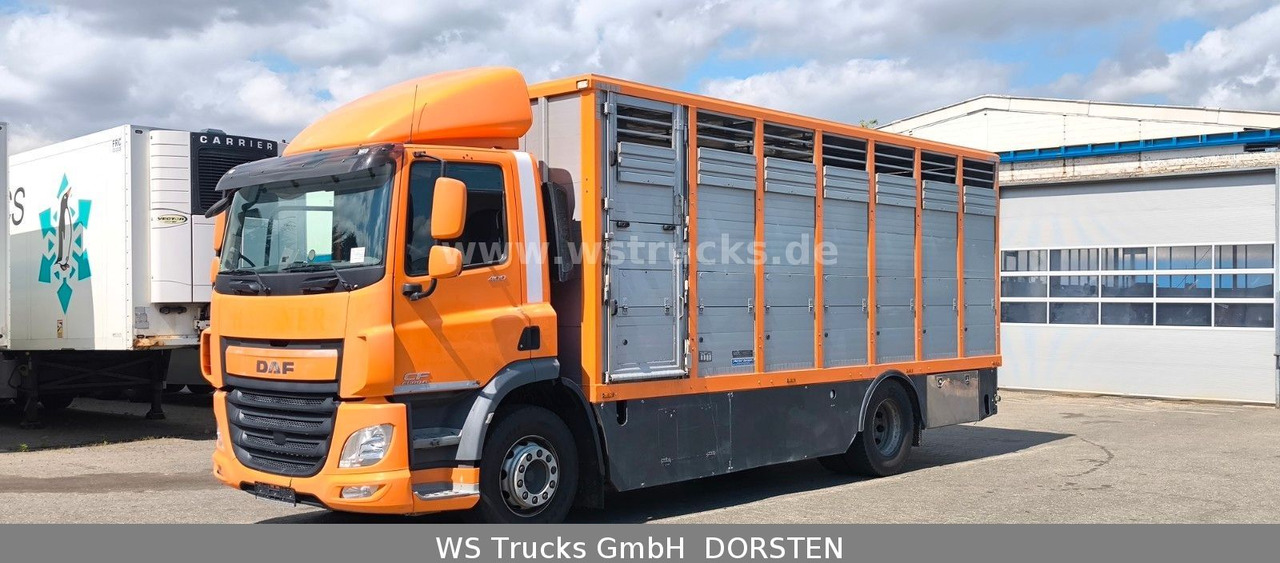 DAF CF 400 Menke Einstock Viehtransporter - Kamion për kuaj: foto 2 DAF CF 400 Menke Einstock Viehtransporter - Kamion për kuaj: foto 2