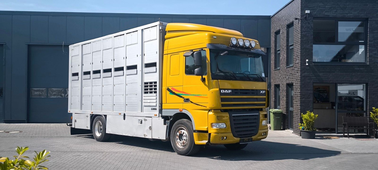 DAF XF 410 SC Menke Doppelstock - Kamion për kuaj: foto 2 DAF XF 410 SC Menke Doppelstock - Kamion për kuaj: foto 2