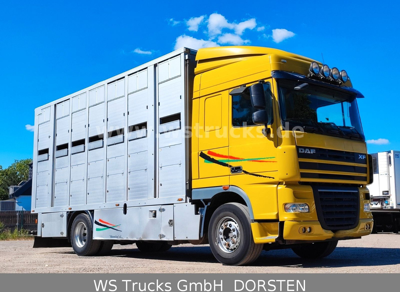 DAF XF 410 SC Menke Doppelstock - Kamion për kuaj: foto 2 DAF XF 410 SC Menke Doppelstock - Kamion për kuaj: foto 2