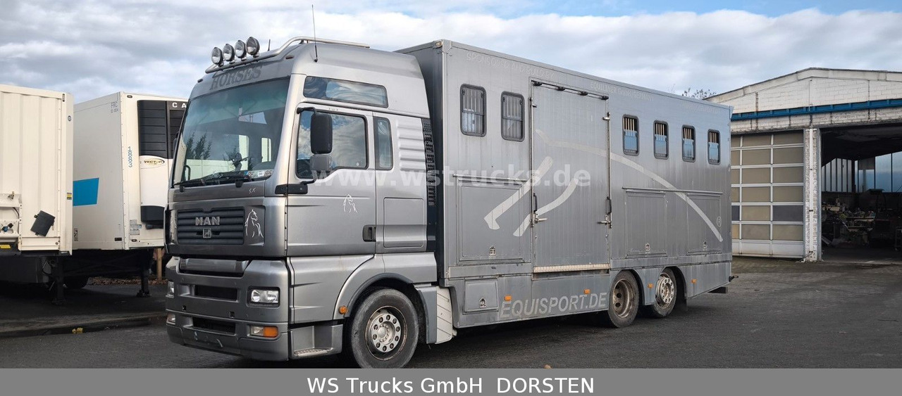 MAN TGA 26.480 FG 6x2 Pferdetransporter Luft/Luft - Kamion për kuaj: foto 2 MAN TGA 26.480 FG 6x2 Pferdetransporter Luft/Luft - Kamion për kuaj: foto 2