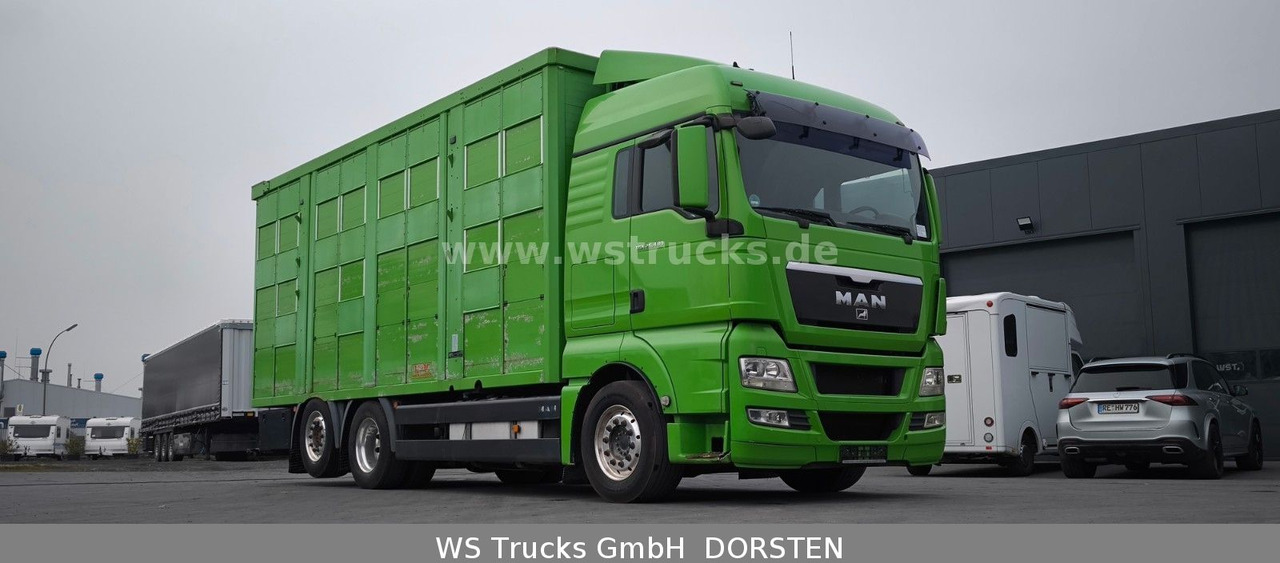 MAN TGX 26.480 XL KABA 3 Stock Viehtransporter - Kamion për kuaj: foto 4 MAN TGX 26.480 XL KABA 3 Stock Viehtransporter - Kamion për kuaj: foto 4