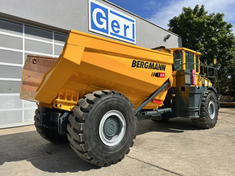 Shkarkues teleskopik Bergmann 5025 HK (110873): foto 8