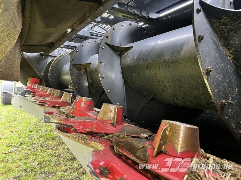 Capello Spartan 610 - Korrëse bari: foto 3 Capello Spartan 610 - Korrëse bari: foto 3