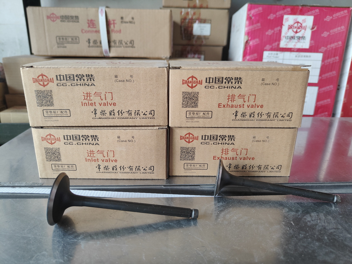 CHANGCHAI 4L68 Engine Intake/Exhaust Valve - Valvula për Fadrom me goma: foto 2 CHANGCHAI 4L68 Engine Intake/Exhaust Valve - Valvula për Fadrom me goma: foto 2