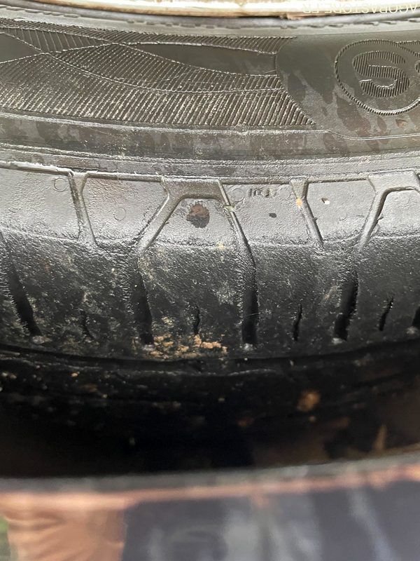 Veturë FORD-FOCUS-2015-170332KMS: foto 14