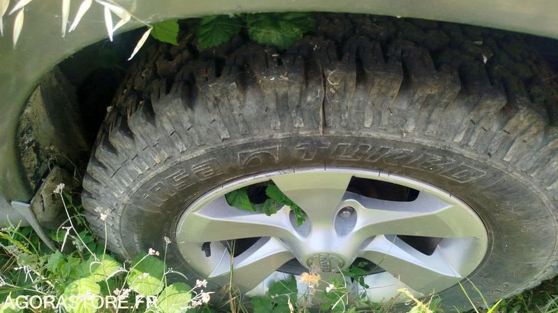 SUV Nissan Terrano - 2004: foto 8