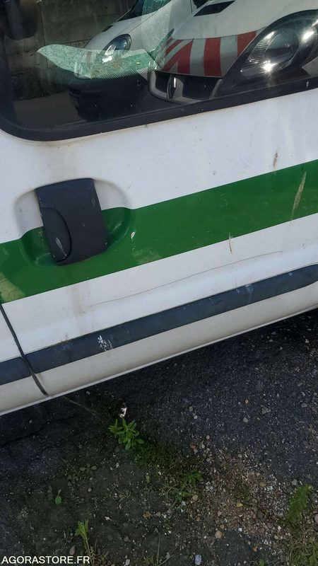 Furgon i vogël Renault Kangoo: foto 6