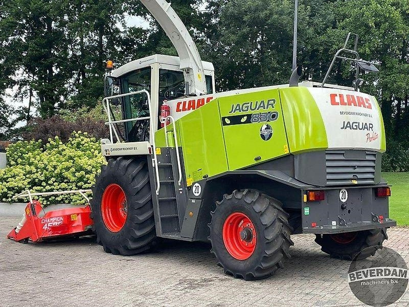 Claas Jaguar 830 492 - Makineri bujqësore: foto 3 Claas Jaguar 830 492 - Makineri bujqësore: foto 3
