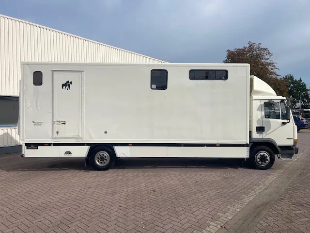 DAF LF 45.130 CLEAN HORSES NL-TRUCK - Kamion për kuaj: foto 5 DAF LF 45.130 CLEAN HORSES NL-TRUCK - Kamion për kuaj: foto 5