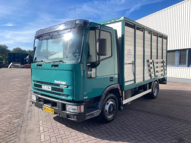 Iveco EuroCargo 65 BLADVERING / HANDGESCHAKELDE - Kamion bagëtish: foto 3 Iveco EuroCargo 65 BLADVERING / HANDGESCHAKELDE - Kamion bagëtish: foto 3