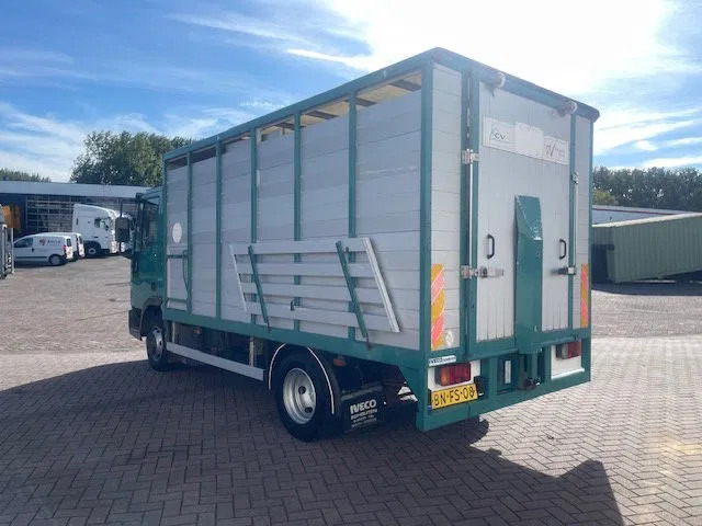 Iveco EuroCargo 65 FULL STEEL / MANUAL-GEAR - Kamion kabinë-shasi: foto 5 Iveco EuroCargo 65 FULL STEEL / MANUAL-GEAR - Kamion kabinë-shasi: foto 5