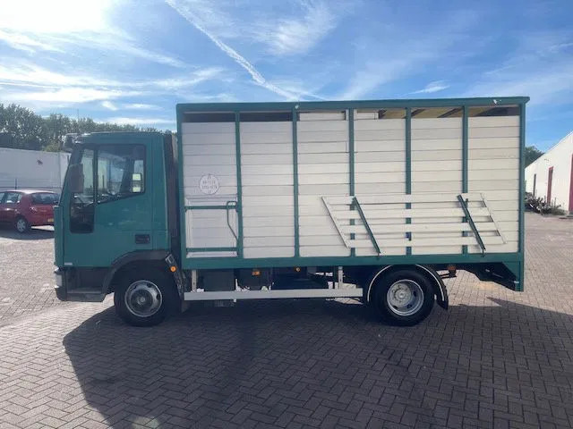 Iveco EuroCargo 65 FULL STEEL / MANUAL-GEAR - Kamion kabinë-shasi: foto 4 Iveco EuroCargo 65 FULL STEEL / MANUAL-GEAR - Kamion kabinë-shasi: foto 4