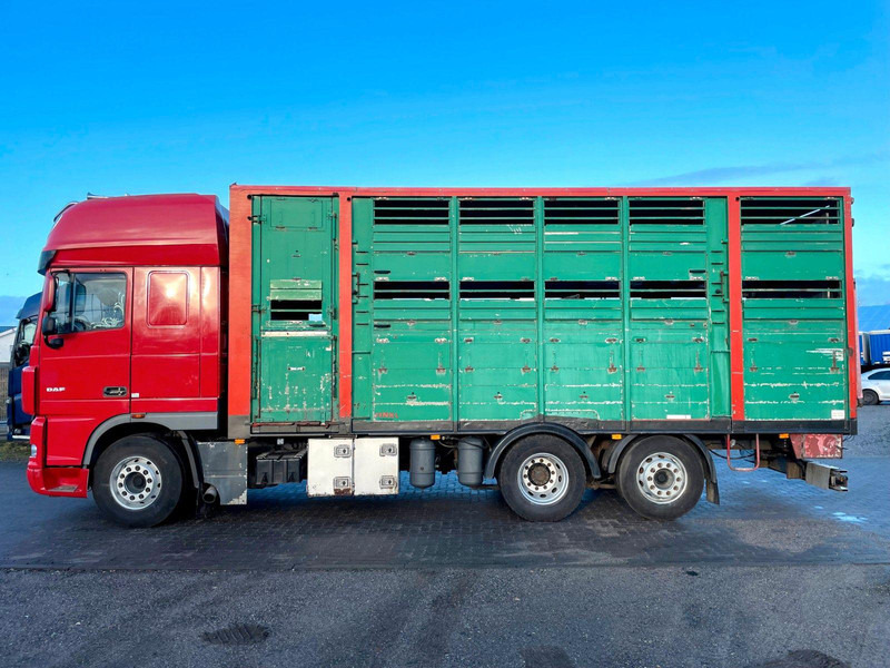 DAF XF 105.460 2-Stock Finkl Viehaufbau / Lenkachs - Kamion bagëtish: foto 5 DAF XF 105.460 2-Stock Finkl Viehaufbau / Lenkachs - Kamion bagëtish: foto 5