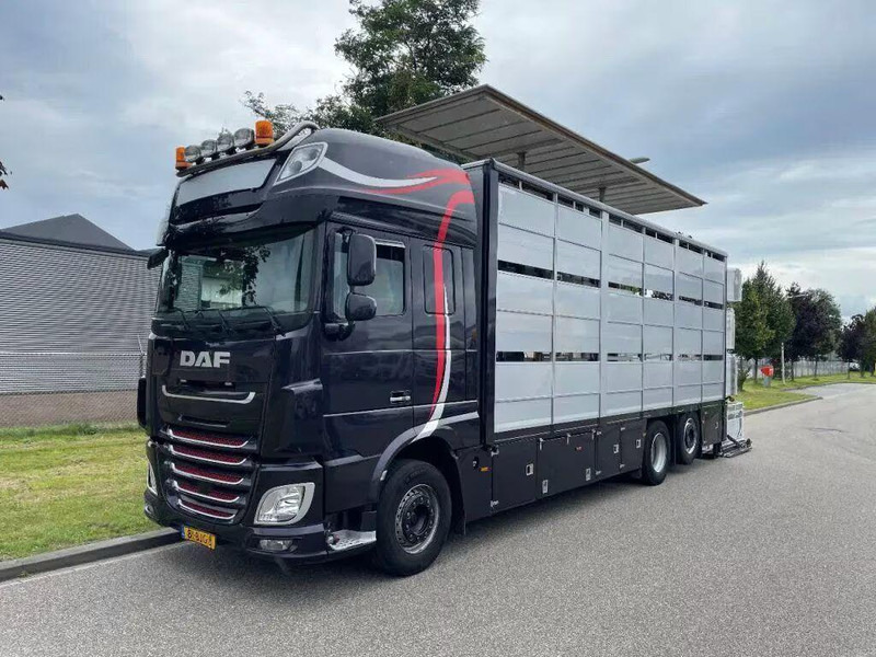 DAF XF 460 - Animal transporter - Kamion bagëtish: foto 3 DAF XF 460 - Animal transporter - Kamion bagëtish: foto 3
