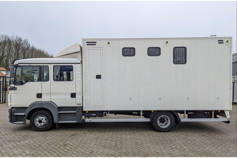 Kamion për kuaj MAN TGL 12.180 - Doka Horse transporter: foto 8 Kamion për kuaj MAN TGL 12.180 - Doka Horse transporter: foto 8