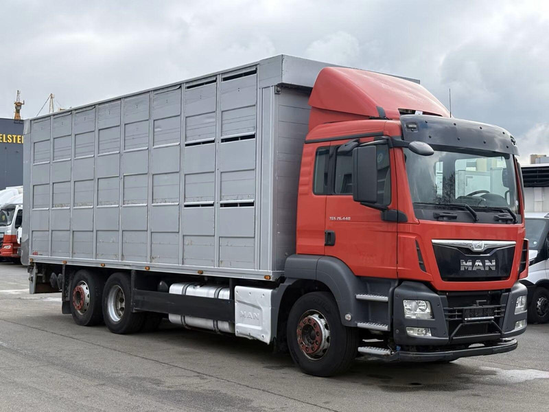 MAN TGS 26.440 - Animal transporter - Kamion bagëtish: foto 2 MAN TGS 26.440 - Animal transporter - Kamion bagëtish: foto 2