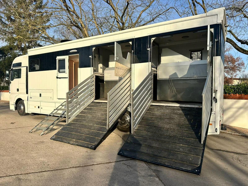 MAN TGX 26.440 - Horse transporter - Kamion për kuaj: foto 5 MAN TGX 26.440 - Horse transporter - Kamion për kuaj: foto 5