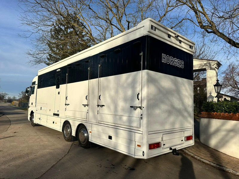 MAN TGX 26.440 - Horse transporter - Kamion për kuaj: foto 4 MAN TGX 26.440 - Horse transporter - Kamion për kuaj: foto 4