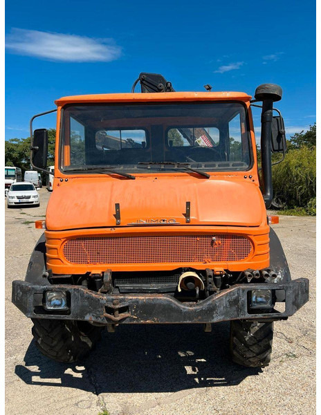Mercedes-Benz UNIMOG U-900 - Lirues kopshti: foto 3 Mercedes-Benz UNIMOG U-900 - Lirues kopshti: foto 3