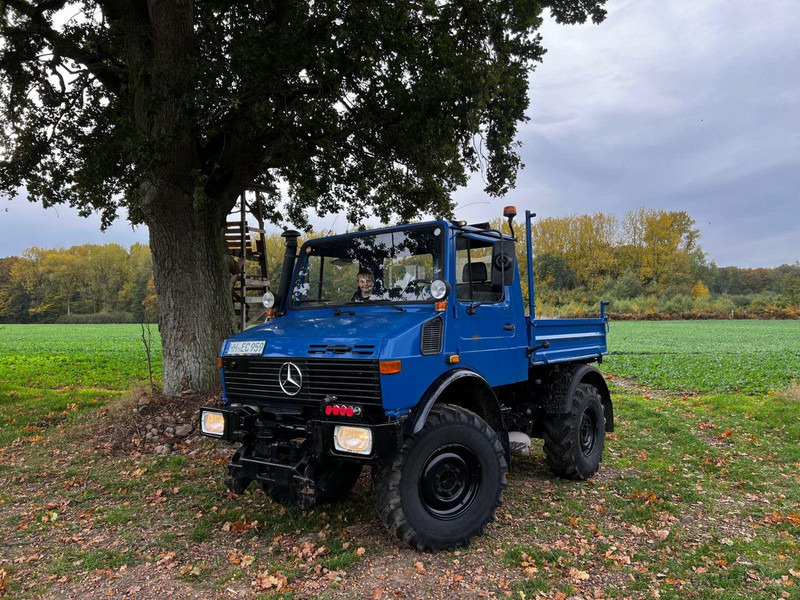Mercedes-Benz Unimog 427 Platós hókotrócs - Lirues kopshti: foto 2 Mercedes-Benz Unimog 427 Platós hókotrócs - Lirues kopshti: foto 2