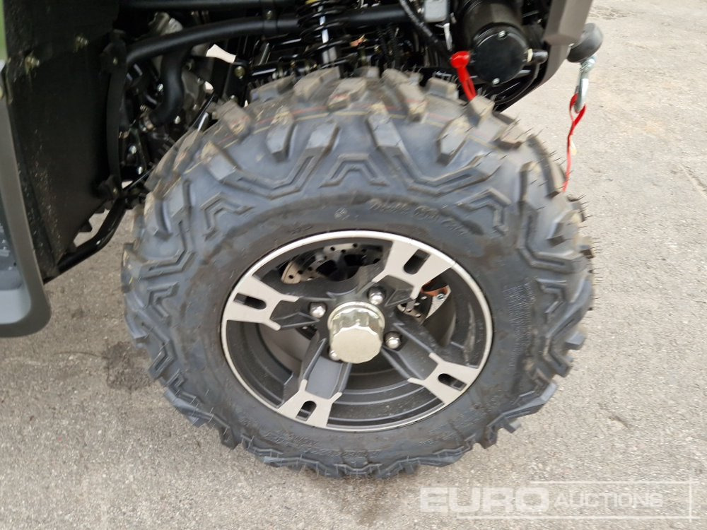 ATV/ Qarku virtual Unused TAO Motors TGA300F: foto 9