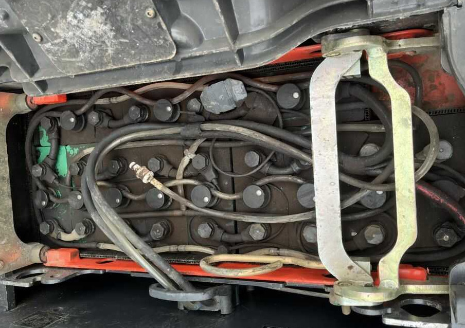 Linde N20 - Pirun seleksionues: foto 5 Linde N20 - Pirun seleksionues: foto 5