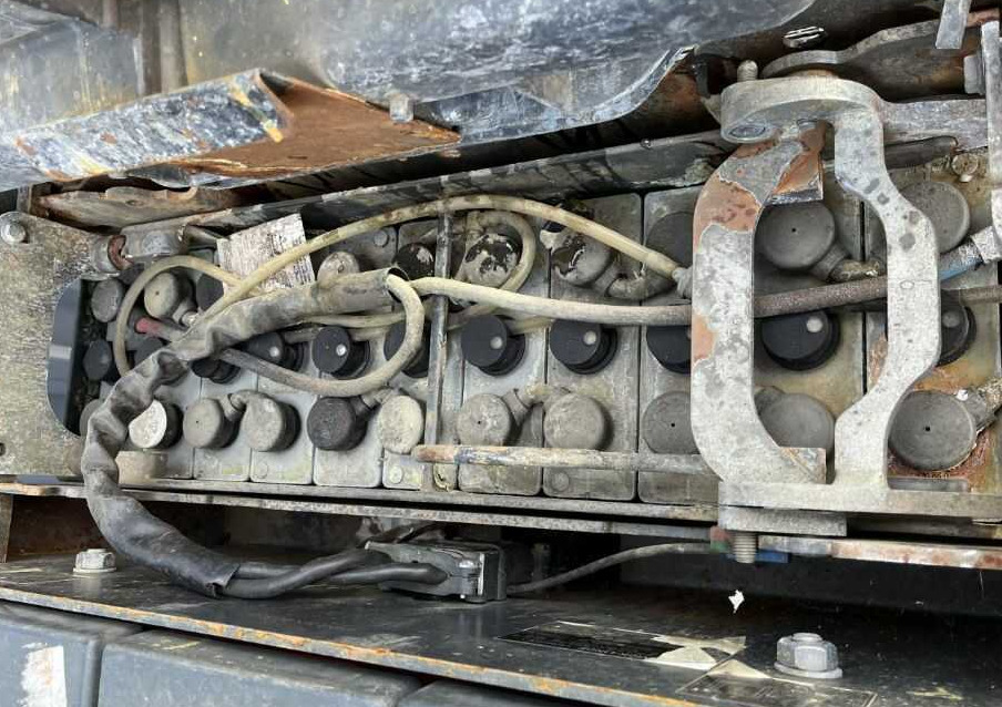 Linde N20L - Pirun seleksionues: foto 5 Linde N20L - Pirun seleksionues: foto 5