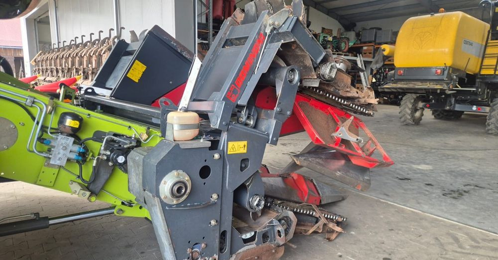 Dominoni - Korrëse misri: foto 2 Dominoni - Korrëse misri: foto 2