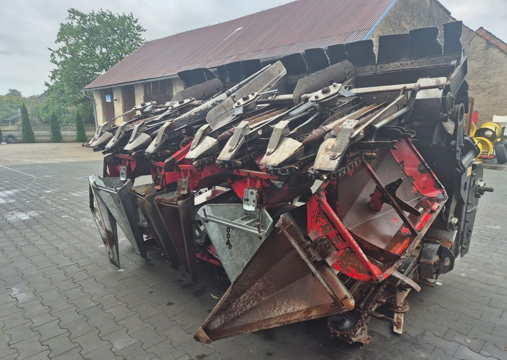 Dominoni SL968 - Korrëse misri: foto 2 Dominoni SL968 - Korrëse misri: foto 2