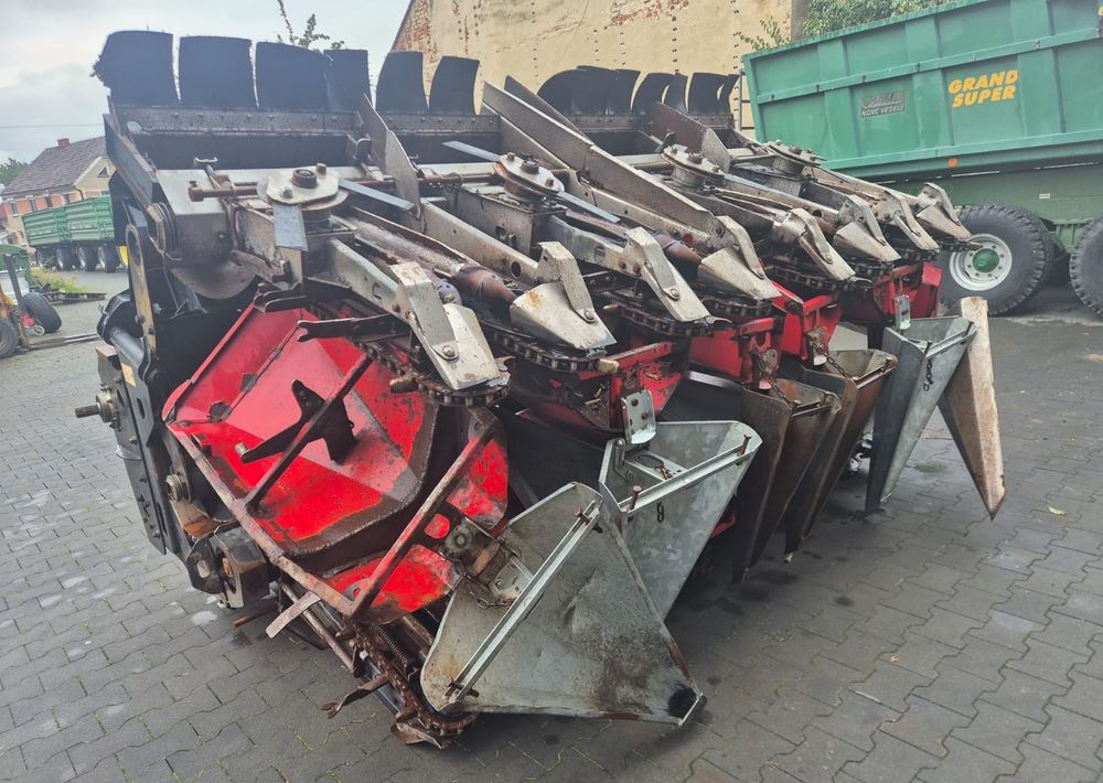 Dominoni SL968 - Korrëse misri: foto 3 Dominoni SL968 - Korrëse misri: foto 3