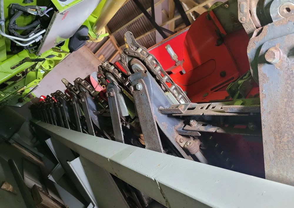 Olimac Drago II - Korrëse misri: foto 5 Olimac Drago II - Korrëse misri: foto 5