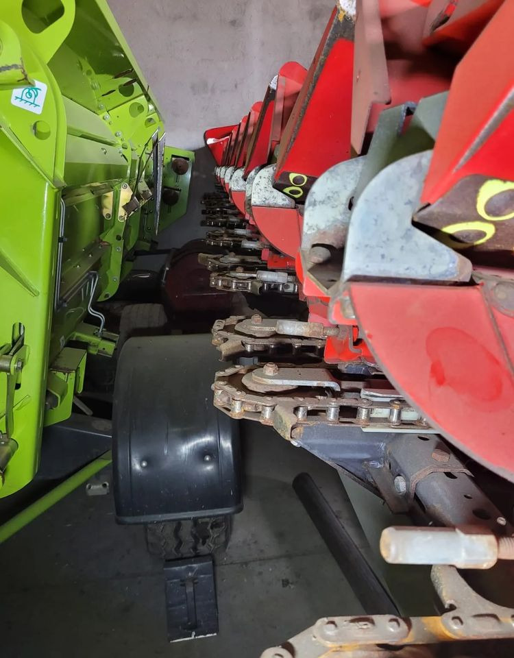 Olimac Drago II - Korrëse misri: foto 3 Olimac Drago II - Korrëse misri: foto 3